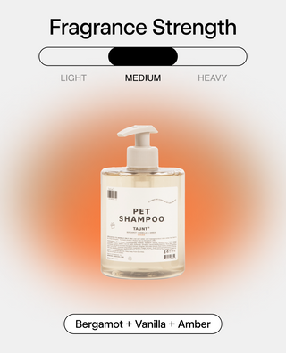 Pet Shampoo Taunt