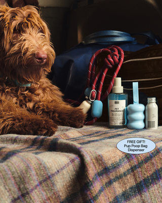 Mini Pet Bundle